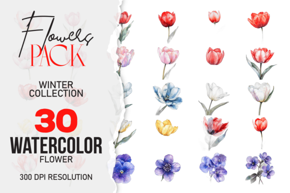 Download Wild Floral Clipart, Watercolor Flower C - Wild Collection