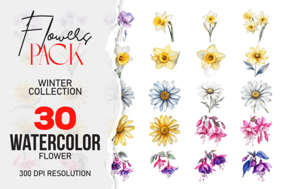Download Wild Floral Clipart Watercolor Flowers - Wild Collection