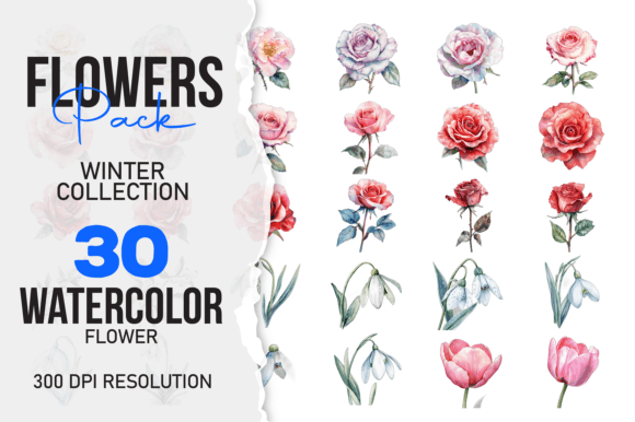 Download Wild Floral Clipart Watercolor Flowers S - Wild Collection