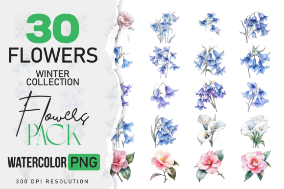 Download Wild Floral Clipart Watercolor Flowers - Wild Collection