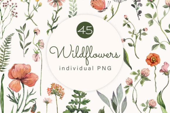 Download Watercolor Wildflowers Clipart - Wild Collection