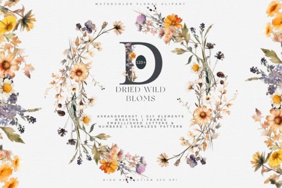 Download Autumn Wildflowers Clipart Collection - Wild Collection